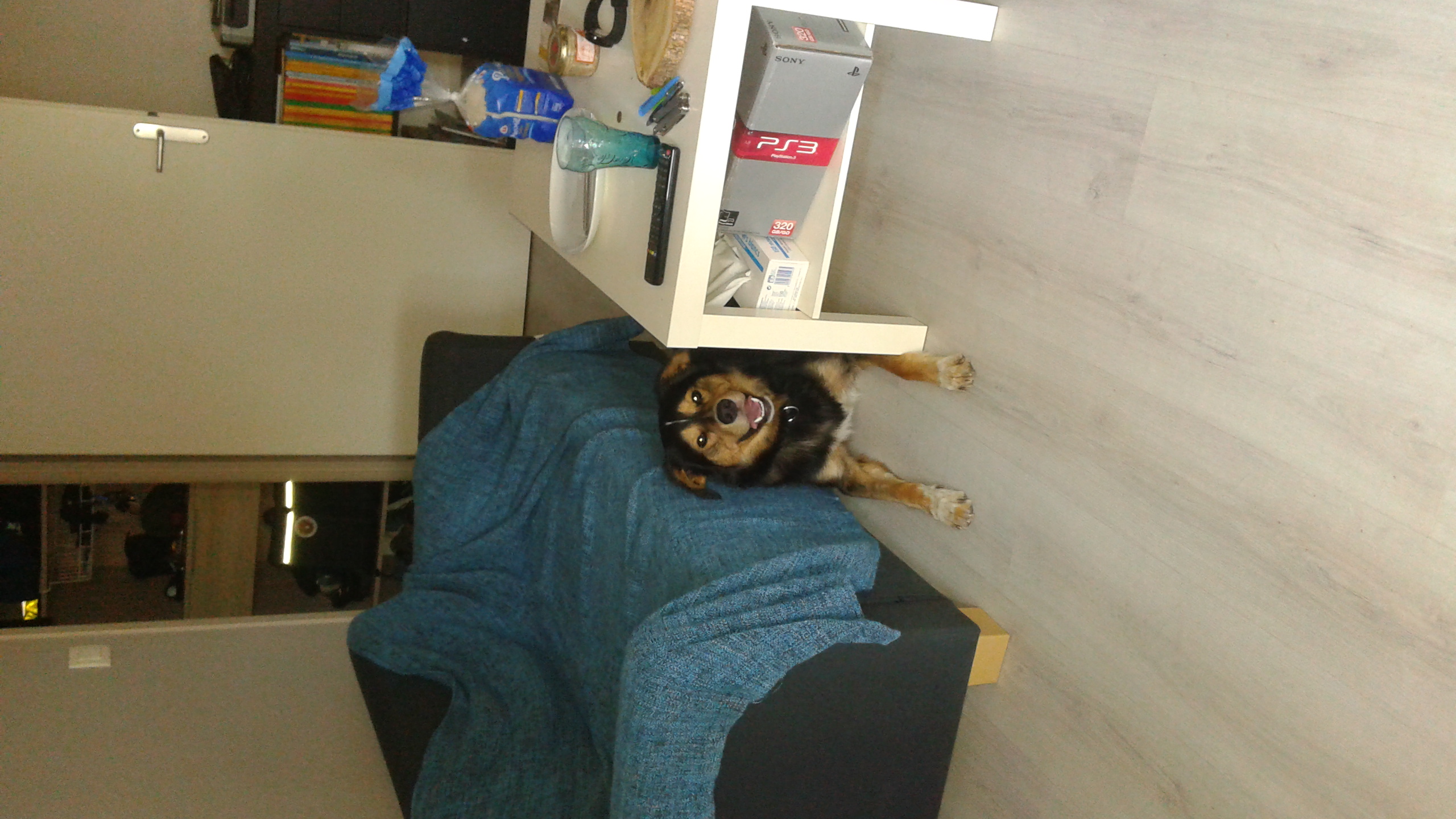20150720_202148.jpg