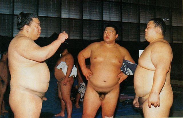 sumo.jpg