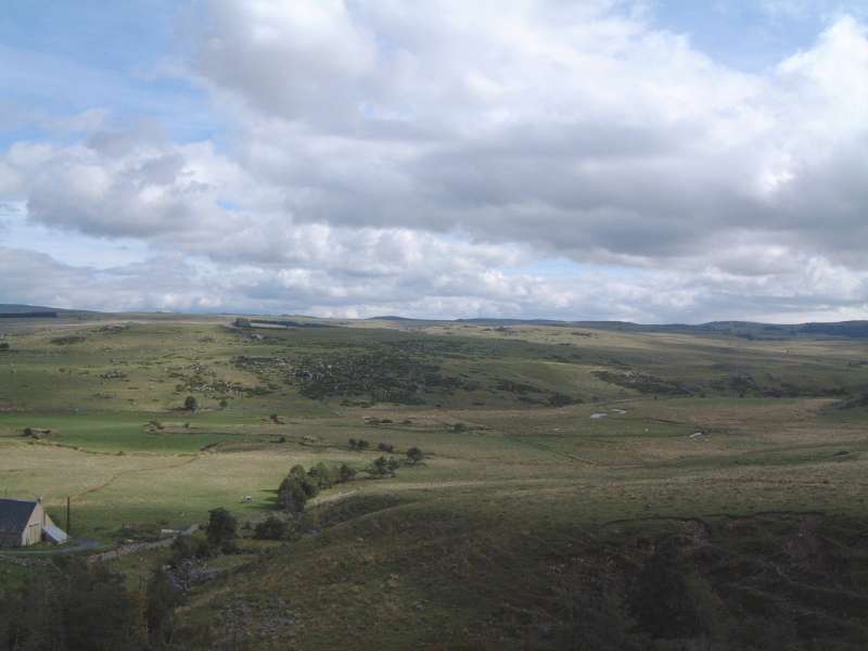 aubrac.jpg