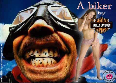 motard-harley.jpg