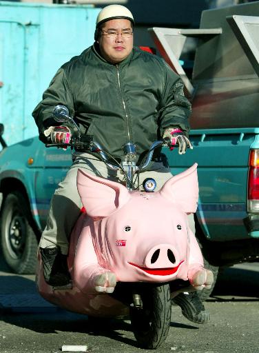 moto cochonne.jpg