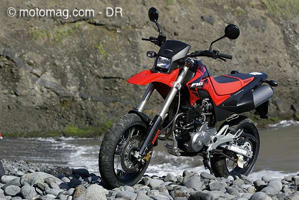 fmx06a08.jpg