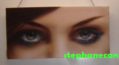 pin-up stephanecan aerosol-art.jpg