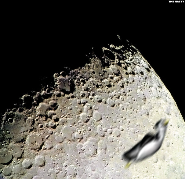 moon pingu.jpg