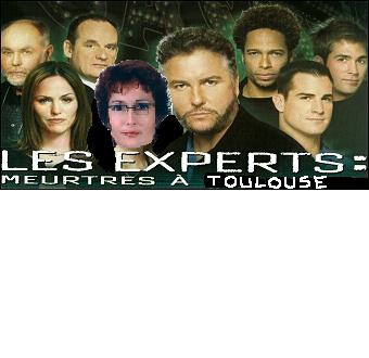 csi les experts.jpg
