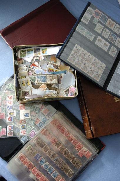 collection.jpg