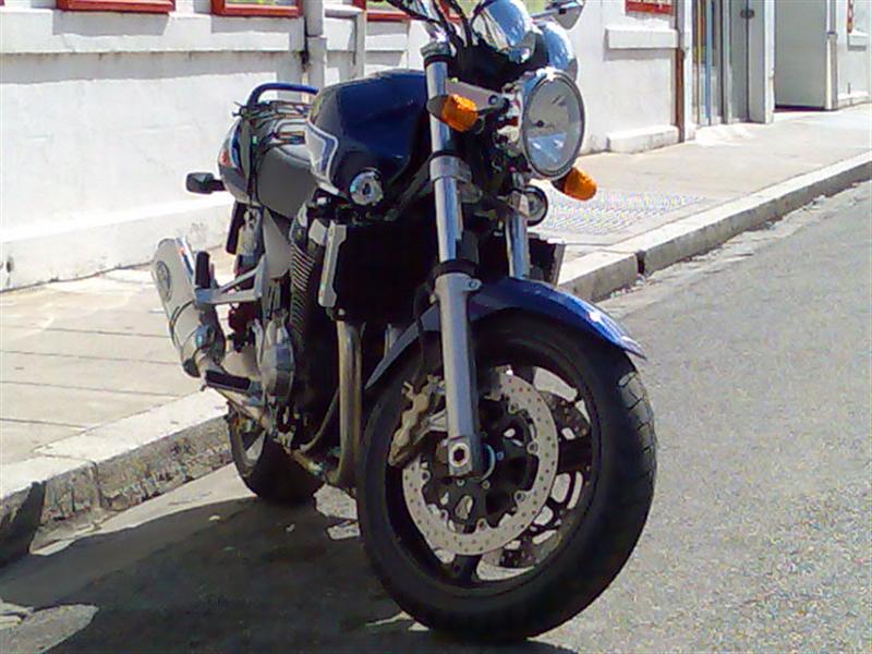 photo113 (medium).jpg