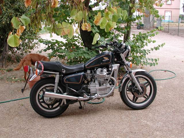 cunegonde05.jpg