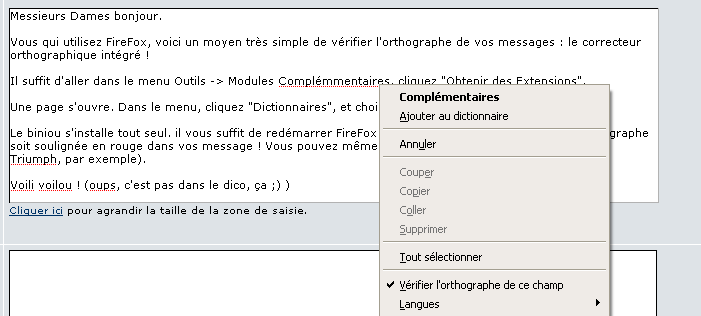correcteur orthographique firefox.png