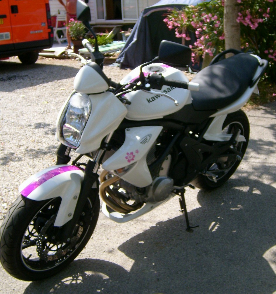 princesse4.jpg