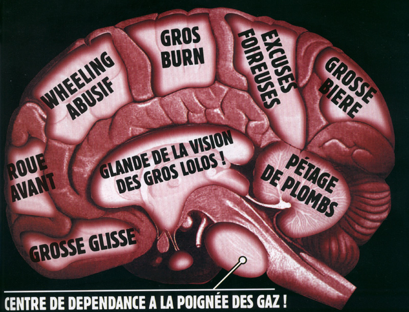 cerveau du motard.jpg