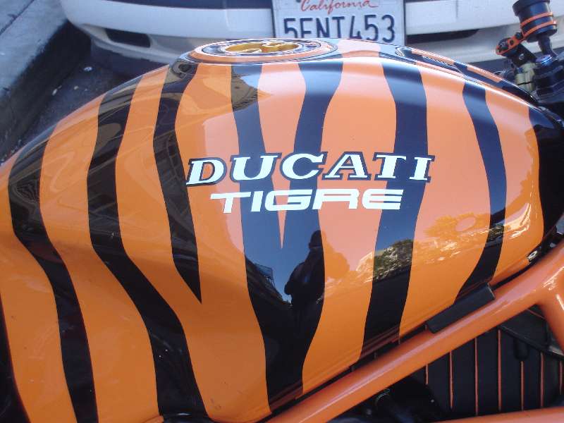 ducati tirge sf 2.jpg