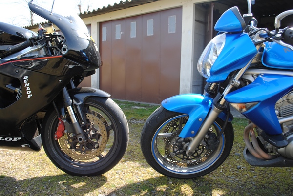 dsc_0126.jpg