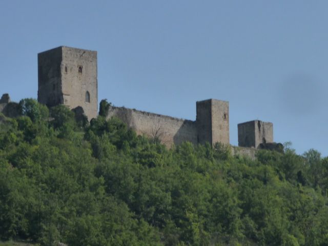 image001.jpg