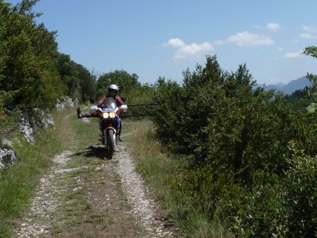 image019.jpg