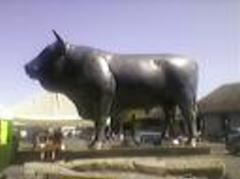 sp_a0099.jpg