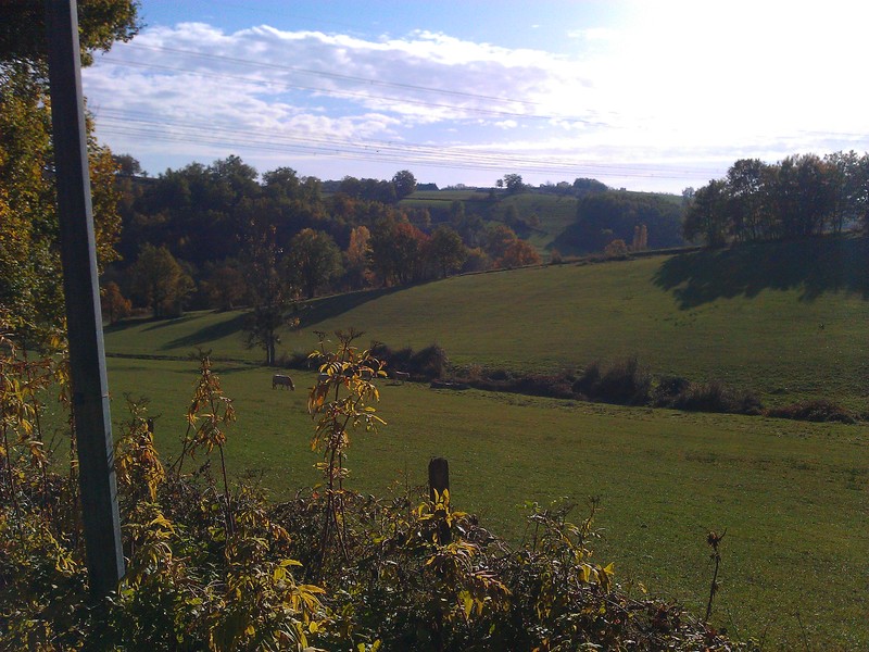 img_20121114_141909.jpg