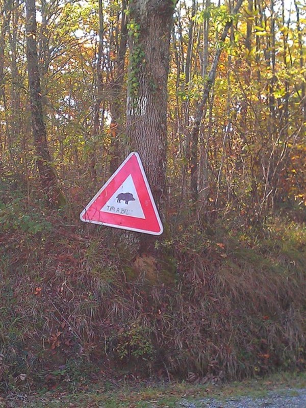 img_20121114_144529.jpg
