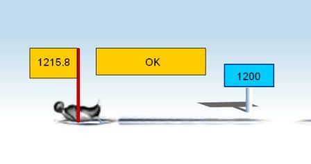pingouin.jpg
