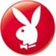 bunny.jpg