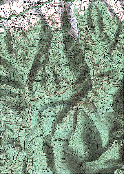 labruguiere.jpg