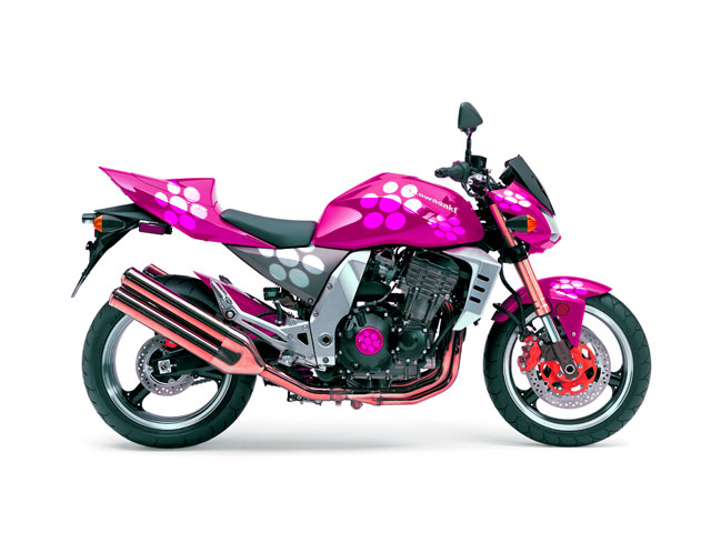 z1000flowerpower.jpg