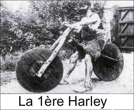 harley.jpg