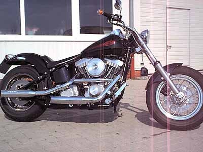 softail.jpg