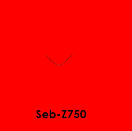 seb z750.jpg