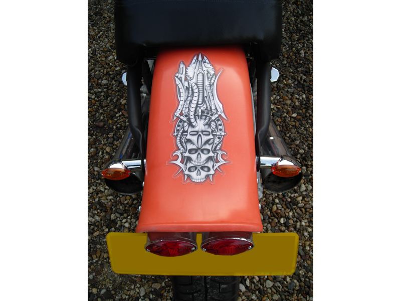 xv750se (10)_450x600.jpg