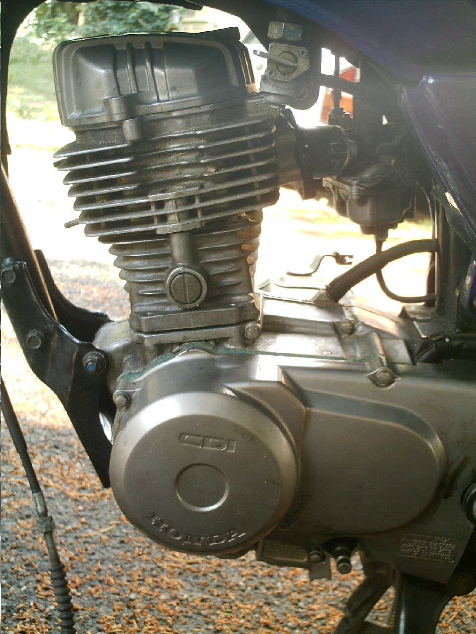 imag0002.jpg