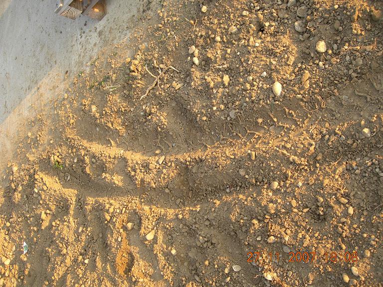trace dans la terre!!!.jpg