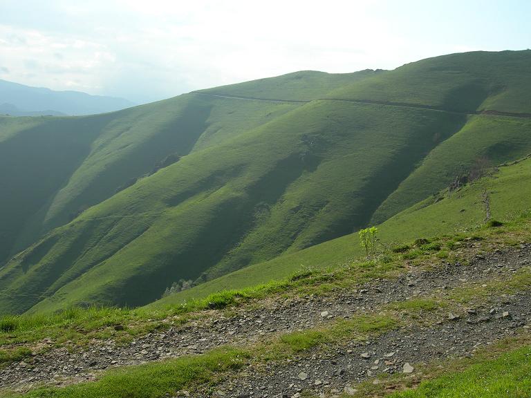 paysage.jpg