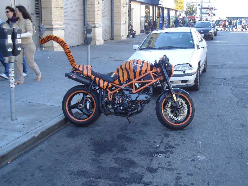ducati tigre sf redim.jpg