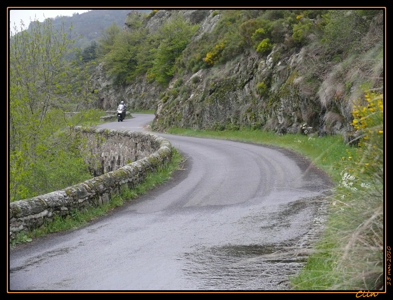 p1000818-border.jpg