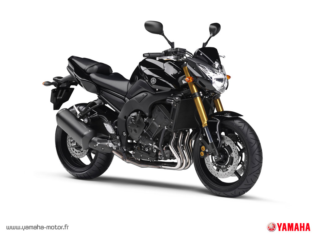 fz8.jpg