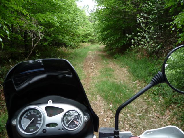 image002.jpg